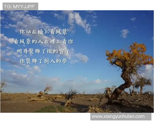 马力克的传奇故事与不屈精神探索人生的无限可能与奋斗的意义